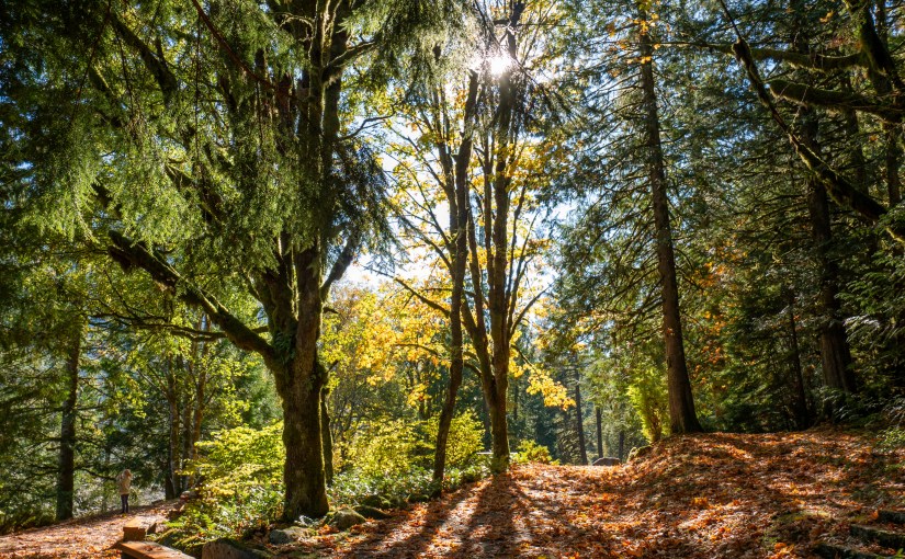 Local Hikes of&nbsp;2023