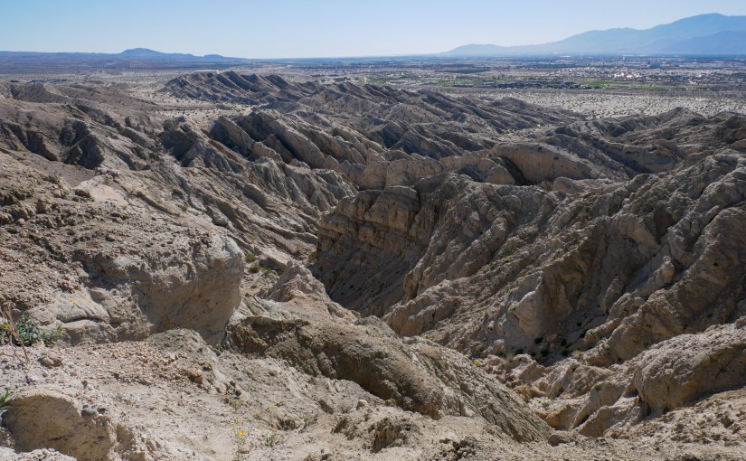 More Time in the&nbsp;Desert