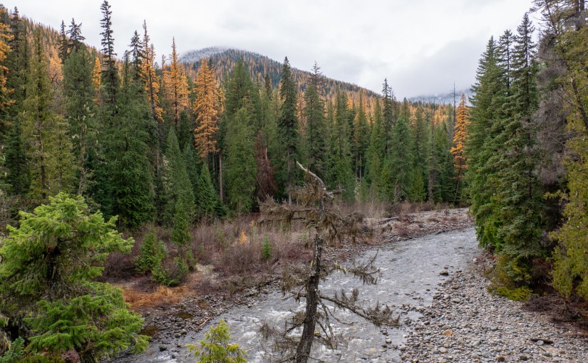 The Pacific Northwest