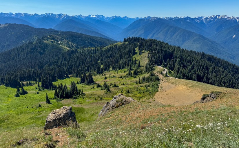 Back to the PNW – Olympic National&nbsp;Park